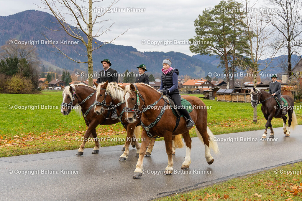 LL25-30 | foto-bettina-krinner - Realisiert mit Pictrs.com