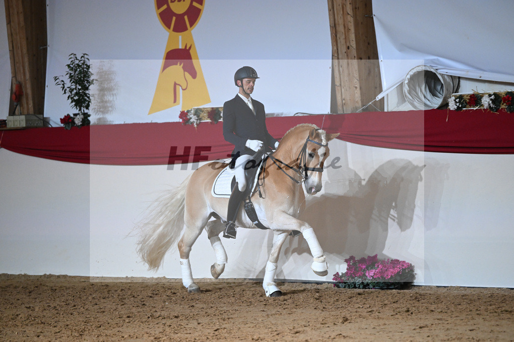 Amiro_1234360 | hf-fotografie - Realisiert mit Pictrs.com