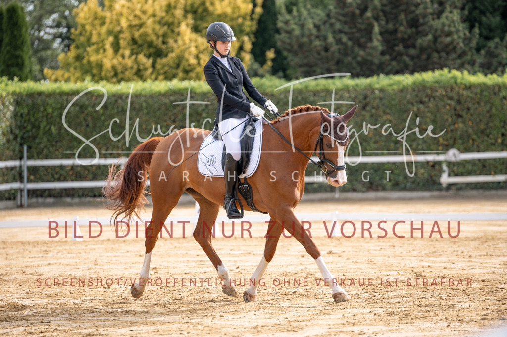 Schugtsche-Aluta25-40.DressurprfA_-190 | Schugtsche Fotografie - Realisiert mit Pictrs.com