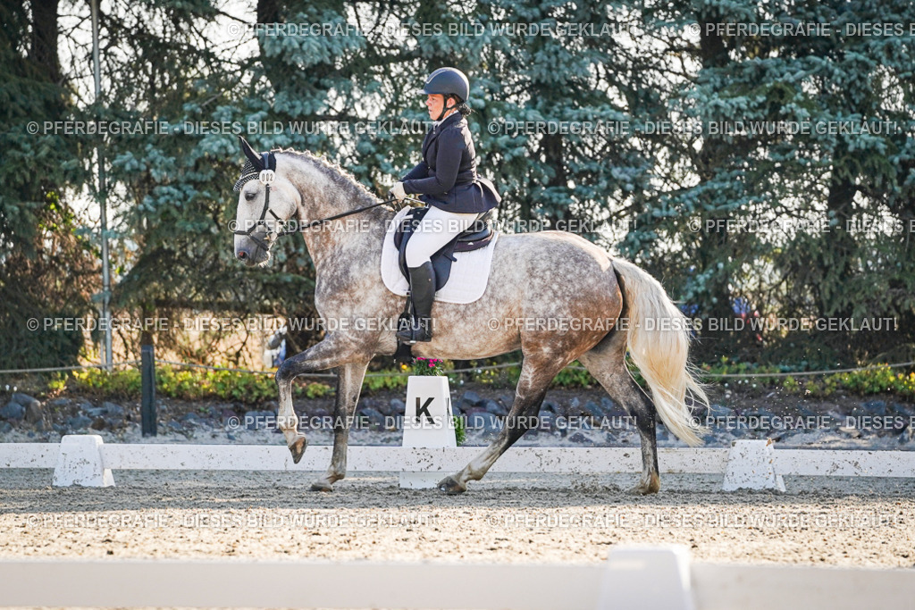 DSC08542 | Pferdegrafie