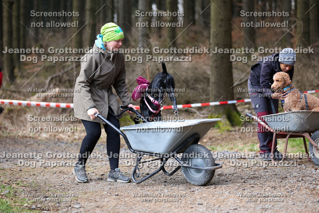 Dog Paparazzi - VCC26-820 | Dog Paparazzi Jeanette Grottendiek Fotografie & Videografie - Realisiert mit Pictrs.com