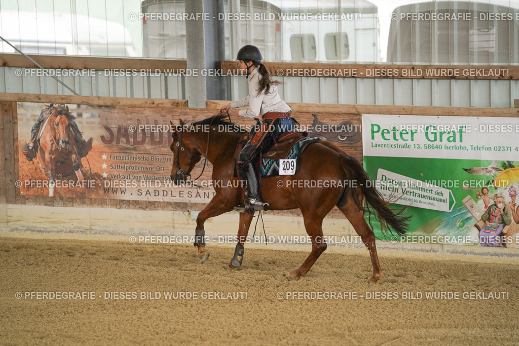 DSC05953 | Pferdegrafie