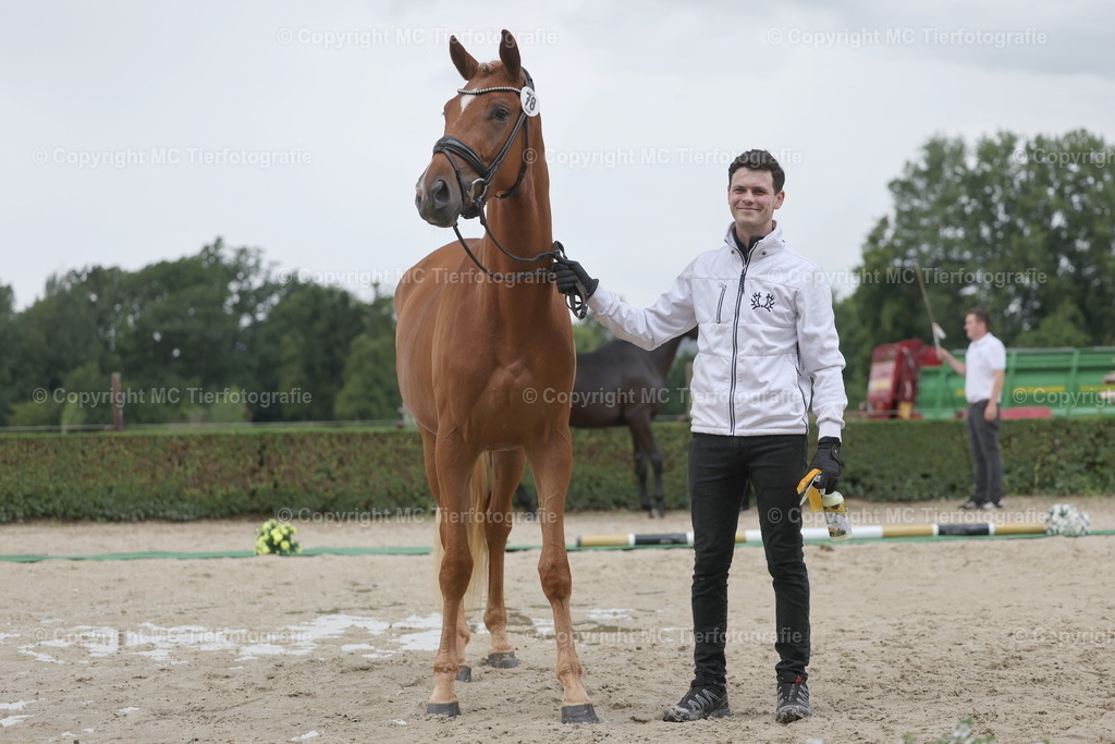 Stut.eintr.u.Fohlent. Geldern06.06.26MCTierf.9C8A4636B | Pferdefotos online bestellen - Realisiert mit Pictrs.com