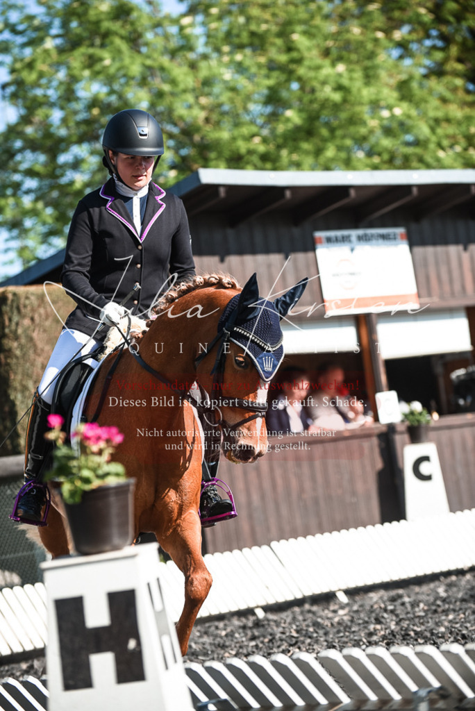 DSC_8402 | Pferde- und Turnierfotografie in Westsachsen. Pferdeportraits, Auftragszeichnungen und intuitive Kunst.