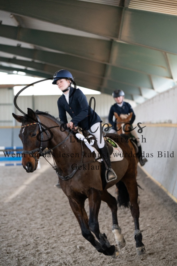 A7V08501 | Pferdefotograf