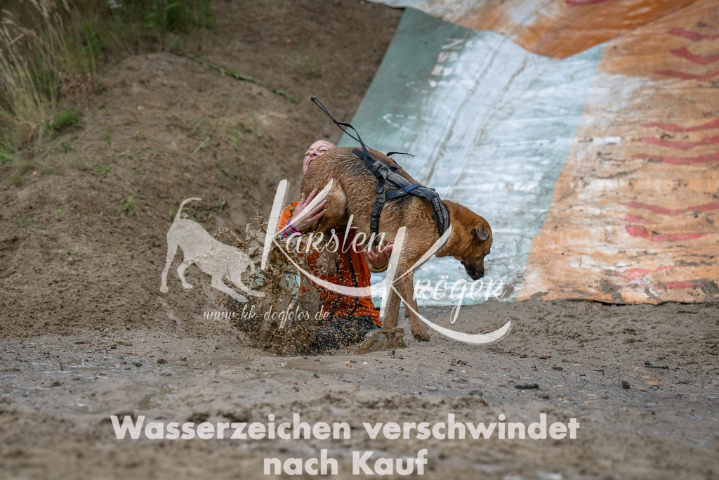 1622_ZZ91269-Bearbeitet | kk-dogfotos