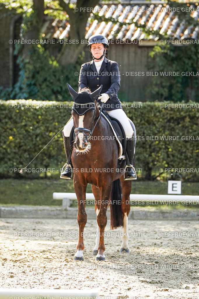 DSC06467 | Pferdegrafie