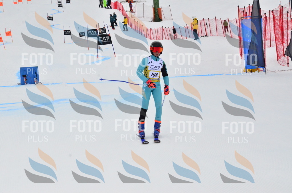 _ELE3796 | holidayphoto