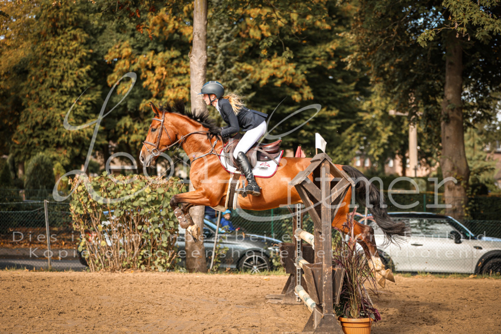 09.SaSpA200191 | Leoni Ertmer Photography - Realisiert mit Pictrs.com