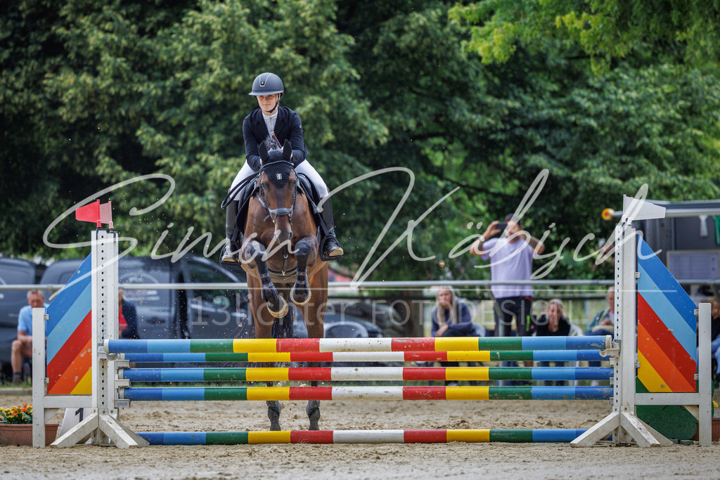 20260705-_3LI3550 | Tierfotografie Pferde, Hunde, Katzen, Haustiere.
Turnierfotografie Reitturniere, Reiten, Springreiten, Dressur in Hanau, dem Main-Kinzig-Kreis und dem Rhein-Main- Gebiet um Frankfurt
