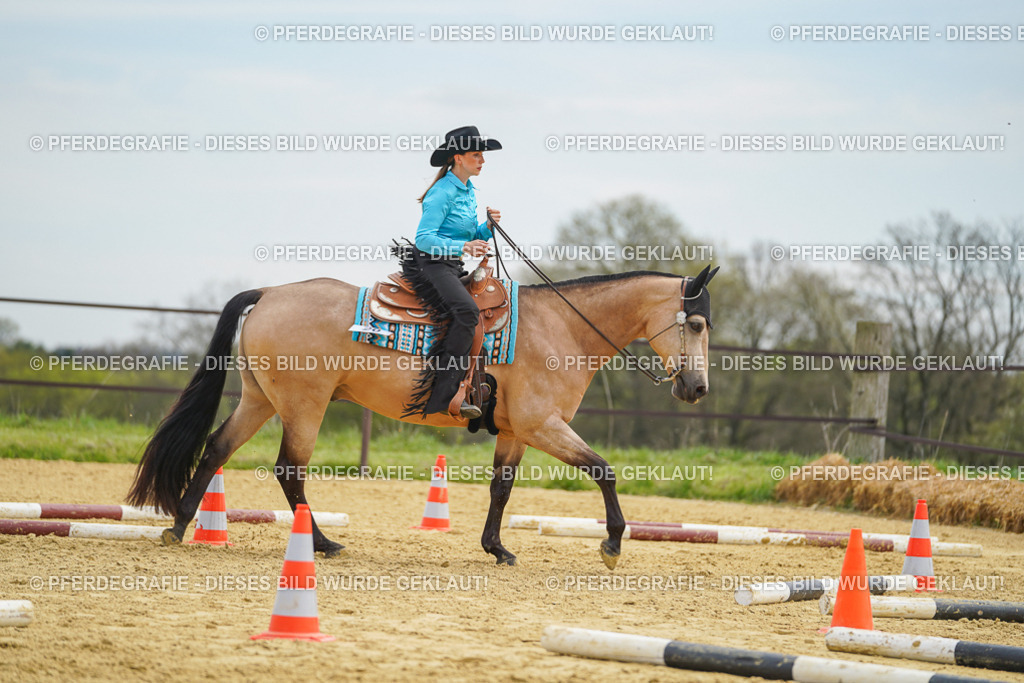 DSC03394 | Pferdegrafie