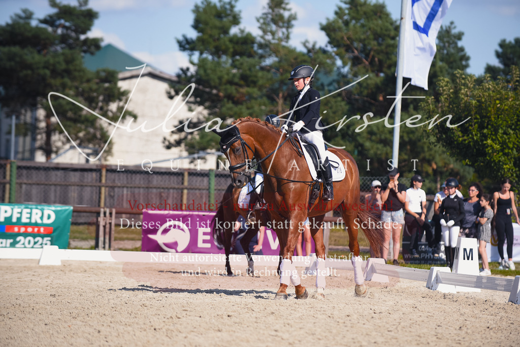 DSC_0067 | Pferde- und Turnierfotografie in Westsachsen. Pferdeportraits, Auftragszeichnungen und intuitive Kunst.