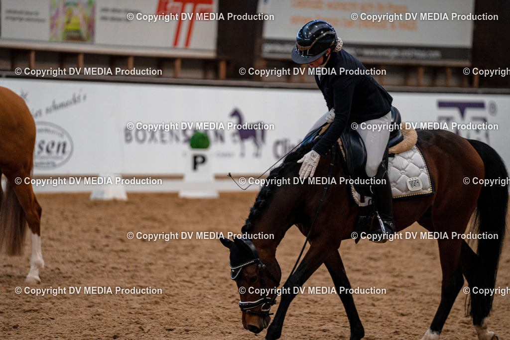 Kranichstein Tag 1-043 | dv-media-shop - Realisiert mit Pictrs.com