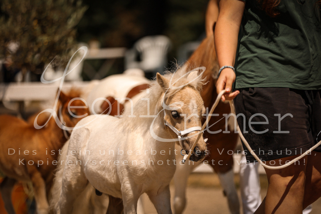 01.DoKR00144 | Leoni Ertmer Photography - Realisiert mit Pictrs.com