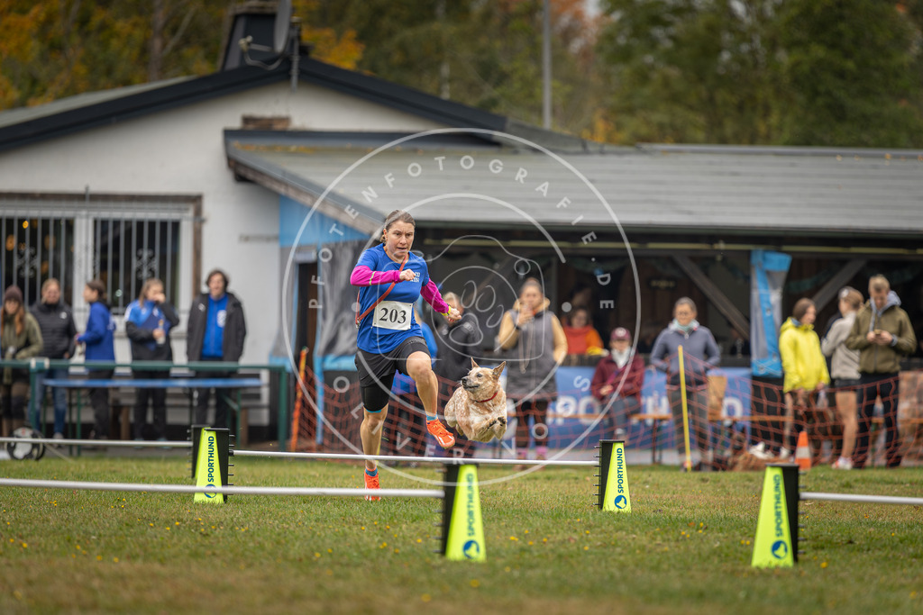 Pfotenfotografie_DV3A1644 | Hundefotografie, Tierfotograf, Pfotenfotografie, Fotoshooting Hund, Hunde Portrait, Hundesport, Hundeportraits, Heideshooting, Hunde, Sportfotograf, Hundefotograf, Turnierhundsport, THS,  - Realisiert mit Pictrs.com