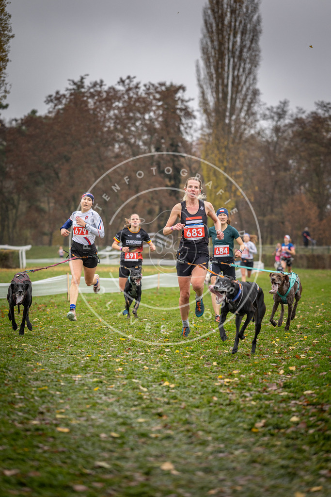 CaniXpix_DV3A8983 | Hundefotografie, Tierfotograf, Pfotenfotografie, Fotoshooting Hund, Hunde Portrait, Hundesport, Hundeportraits, Heideshooting, Hunde, Sportfotograf, Hundefotograf, Turnierhundsport, THS,  - Realisiert mit Pictrs.com