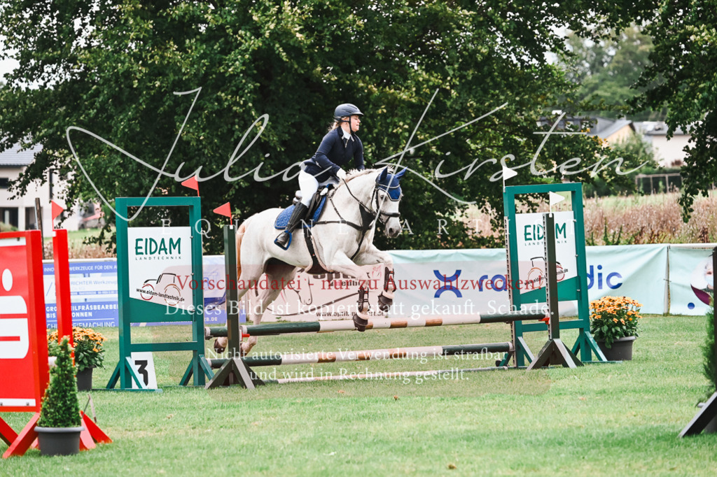 DSC_6018 | Pferde- und Turnierfotografie in Westsachsen. Pferdeportraits, Auftragszeichnungen und intuitive Kunst.