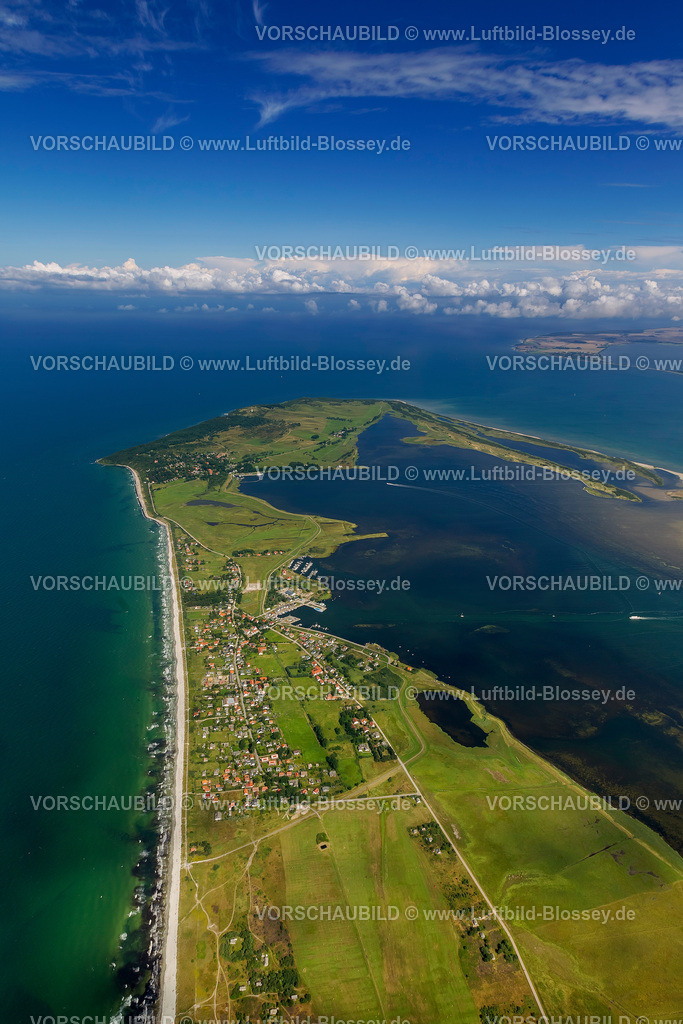 Hiddensee12081906 | Vitte, Naturschutzgebiet Dünenheide, Heidelandschaft,  Insel Hiddensee, Ostseeinsel, Mecklenburg-Vorpommern, Deutschland, Europa