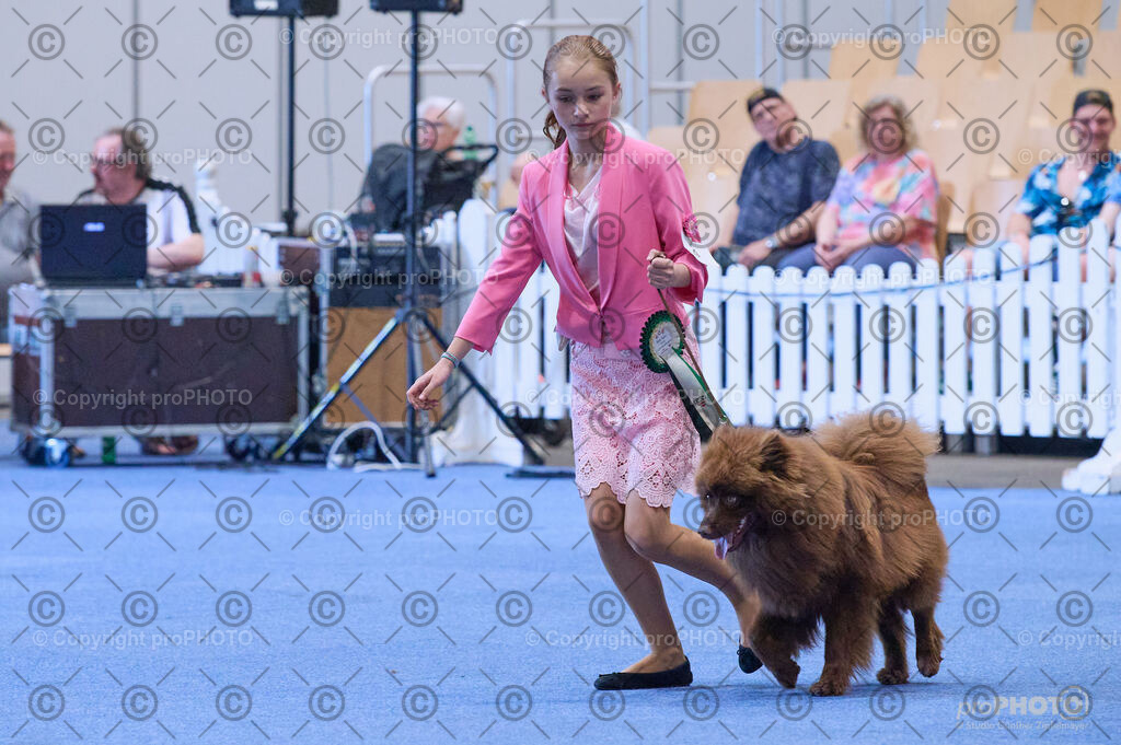 202406_ÖKV-IHA-Tulln24_DSC_3939 | proPHOTO - Realisiert mit Pictrs.com