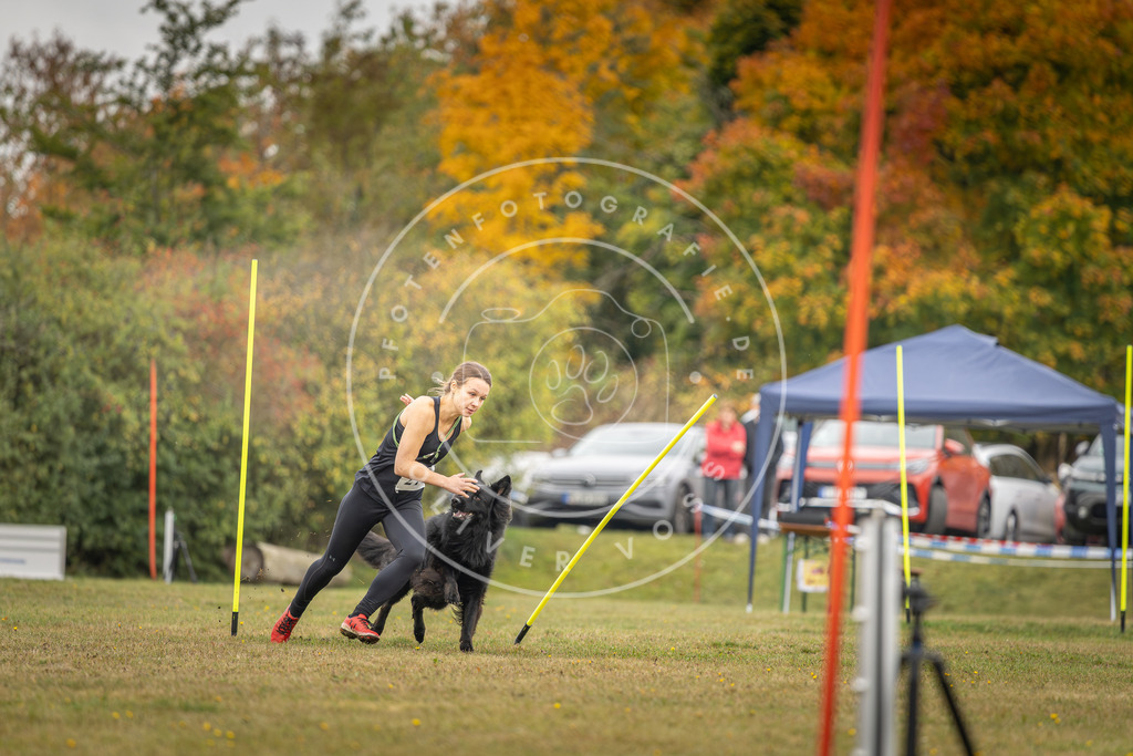 Pfotenfotografie_DV3A3553 | Hundefotografie, Tierfotograf, Pfotenfotografie, Fotoshooting Hund, Hunde Portrait, Hundesport, Hundeportraits, Heideshooting, Hunde, Sportfotograf, Hundefotograf, Turnierhundsport, THS,  - Realisiert mit Pictrs.com