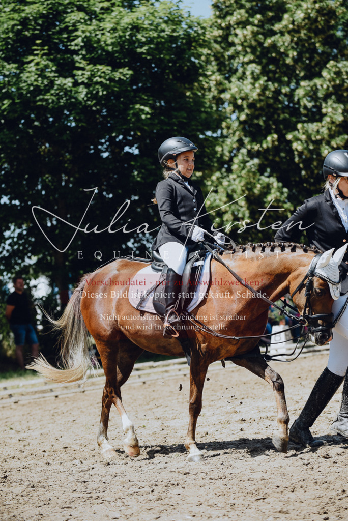 DSC_2551 | Pferde- und Turnierfotografie in Westsachsen. Pferdeportraits, Auftragszeichnungen und intuitive Kunst.