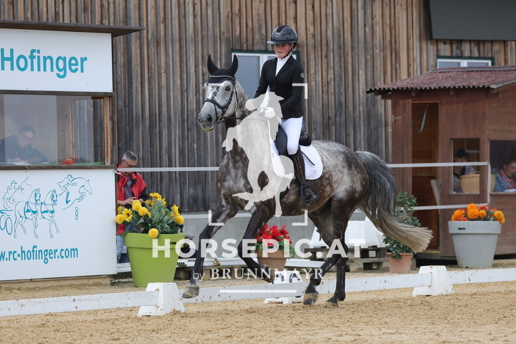 0P6A1703 | Willkommen bei Brunnmayr - Design & Fotografie – Ihrem Spezialisten für Reitturniere und Pferdeveranstaltungen in Oberösterreich, Salzburg und Bayern! Seit über 17 Jahren sind wir leidenschaftlich dabei.