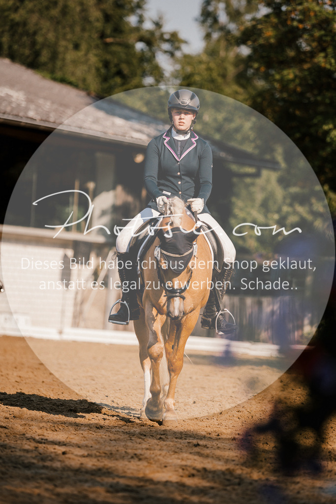 3I6A8775 | Stimmungsvolle Portraits und Reitsportfotografie im Ruhrgebiet und im Münsterland.

Pferdefotografie, Hundefotografie, Tierfotografie, Reportagen, Portraits von Tier und Mensch, Turnierfotografie in Bochum, Recklinghausen, Marl, Haltern am See, Dülmen.. - Realisiert mit Pictrs.com