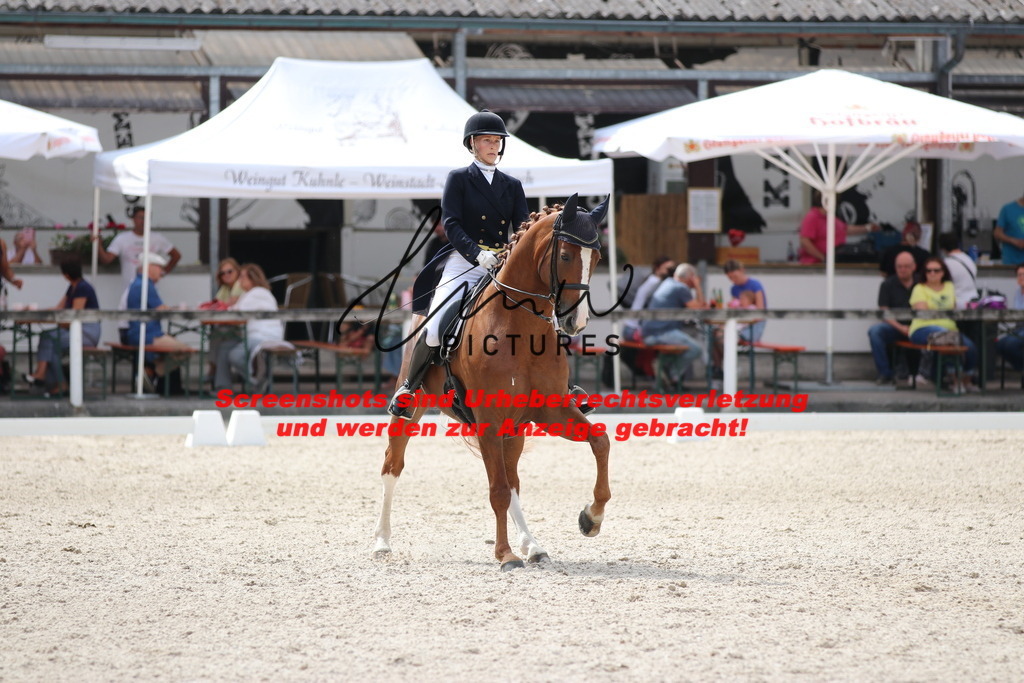 IMG_1583 | lmwpictures - Realisiert mit Pictrs.com