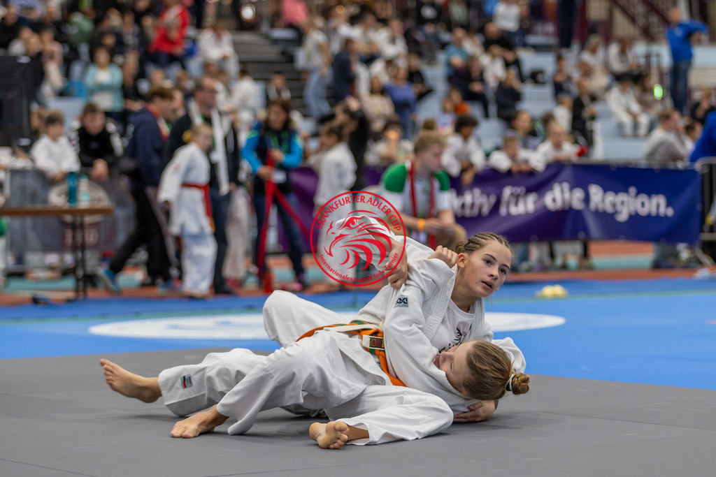 Internationaler Adler Cup 2024 | Foto vom Internationalen Adler Cup Judo Turnier im Sport- und Freizeitzentrum Kalbach im Oktober 2024 - Realisiert mit Pictrs.com