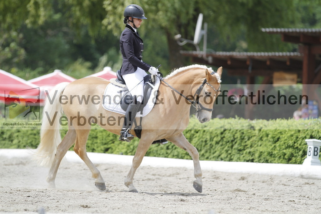 _MG_9534 | equestrian-live-com