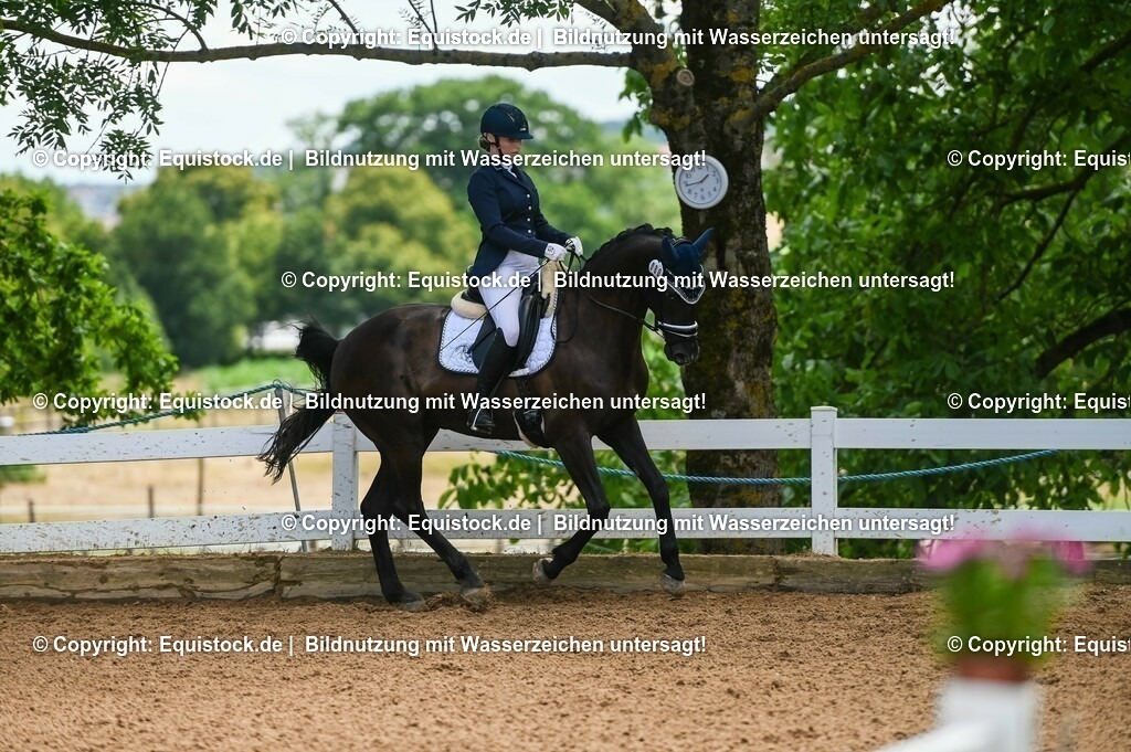20230716_03_Dressurprfg. Kl.L - Tr._0619 | equistock