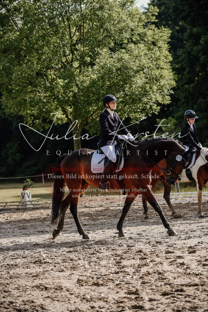 DSC_8825 | Pferde- und Turnierfotografie in Westsachsen. Pferdeportraits, Auftragszeichnungen und intuitive Kunst.