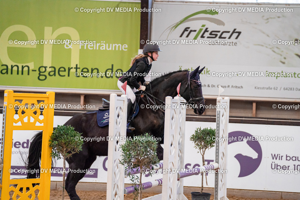 Kranichstein Tag 3-034 | dv-media-shop - Realisiert mit Pictrs.com