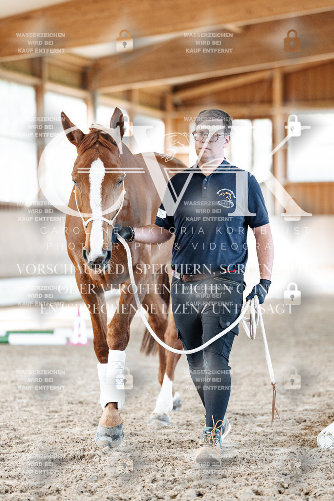 CK905860 | Turnierfotografie Pferdefotografie Trier Rheinland-Pfalz Pferdesport Reitsport Tierfotografie Sportfotografie Pferdevideo Pferdevideografie Equestrianvideography equestrianphotography  - Realisiert mit Pictrs.com