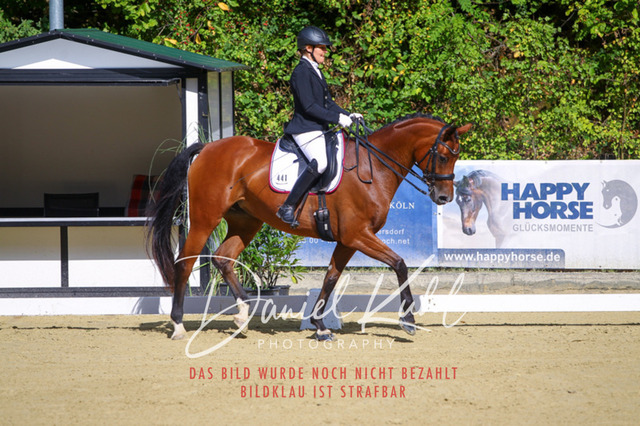 DKP40786 | Turniersportfotografie; Pferdefotografie; Dressurfotografie