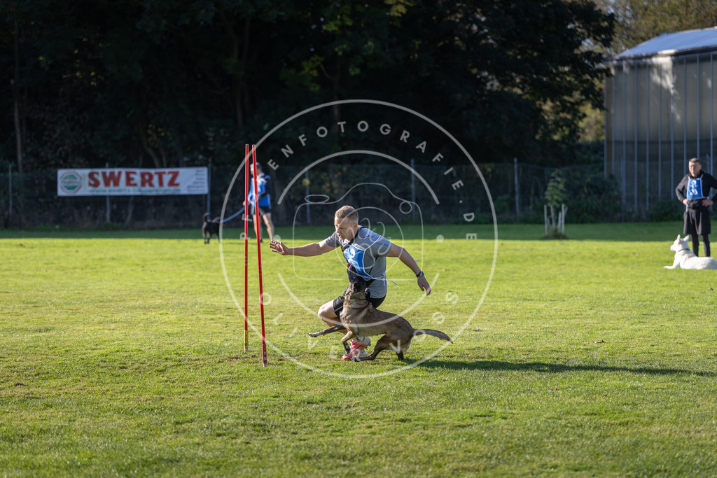 Pfotenfotografie.de_DV3A3445 | Hundefotografie, Tierfotograf, Pfotenfotografie, Fotoshooting Hund, Hunde Portrait, Hundesport, Hundeportraits, Heideshooting, Hunde, Sportfotograf, Hundefotograf, Turnierhundsport, THS, canicross - Realisiert mit Pictrs.com