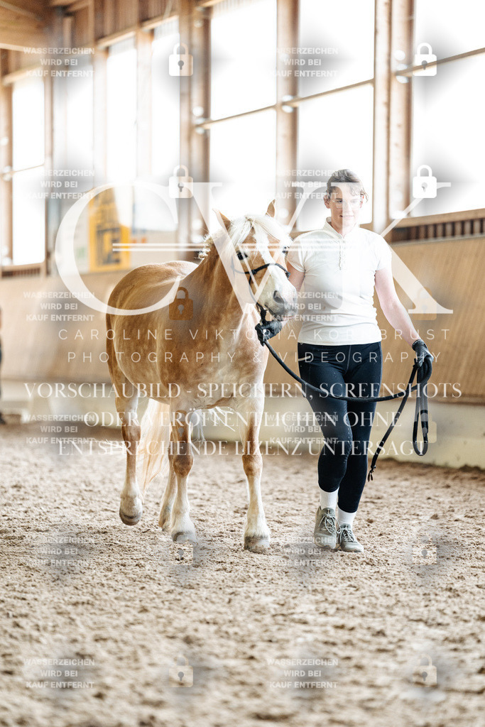 CK908566 | Turnierfotografie Pferdefotografie Trier Rheinland-Pfalz Pferdesport Reitsport Tierfotografie Sportfotografie Pferdevideo Pferdevideografie Equestrianvideography equestrianphotography  - Realisiert mit Pictrs.com