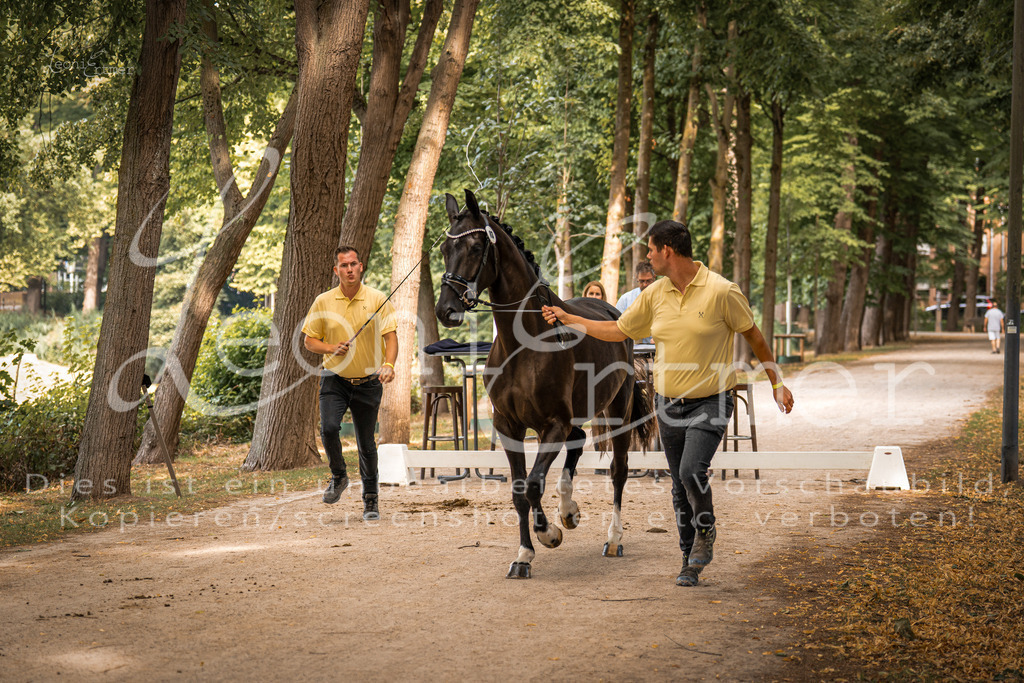 FrPfM00084 | Leoni Ertmer Photography - Realisiert mit Pictrs.com