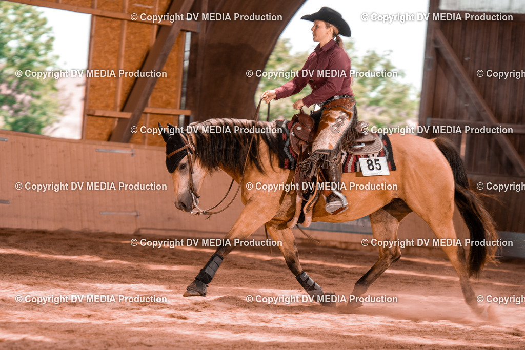 NE100707 | dv-media-shop - Realisiert mit Pictrs.com