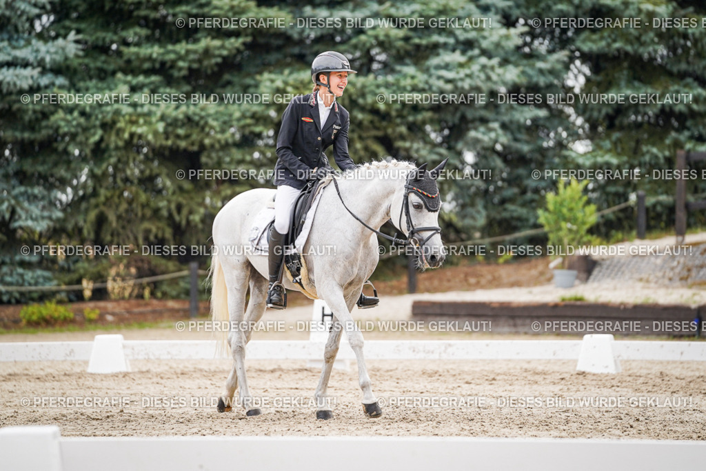 DSC02180 | Pferdegrafie