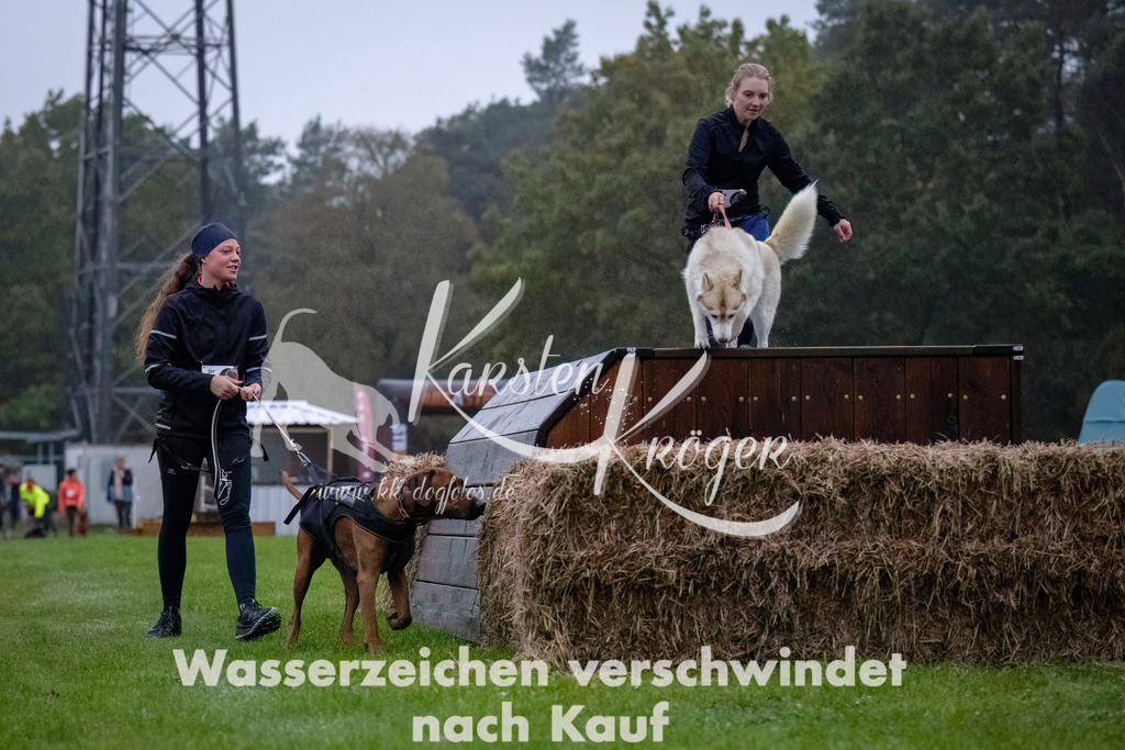 0809-_ZZ90412-Bearbeitet-Bearbeitet | kk-dogfotos