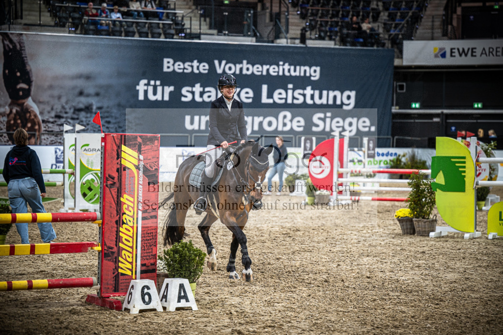 DOS_2824 | Entdecke hochwertige Reitturnierfotos von Foto Oger. Professionell, emotional und authentisch – jetzt Lieblingsmomente im Shop bestellen.Deutschlandweite Turnierfotografie. - Realisiert mit Pictrs.com