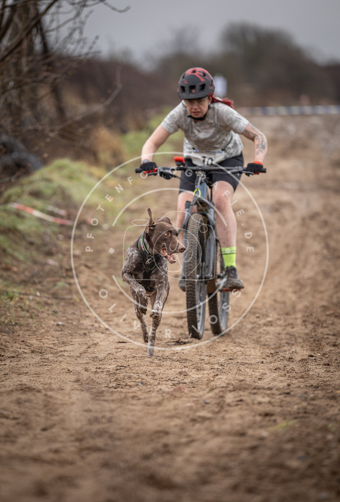 DV3A8920 | Hundefotografie, Tierfotograf, Pfotenfotografie, Fotoshooting Hund, Hunde Portrait, Hundesport, Hundeportraits, Heideshooting, Hunde, Sportfotograf, Hundefotograf, Turnierhundsport, THS,  - Realisiert mit Pictrs.com