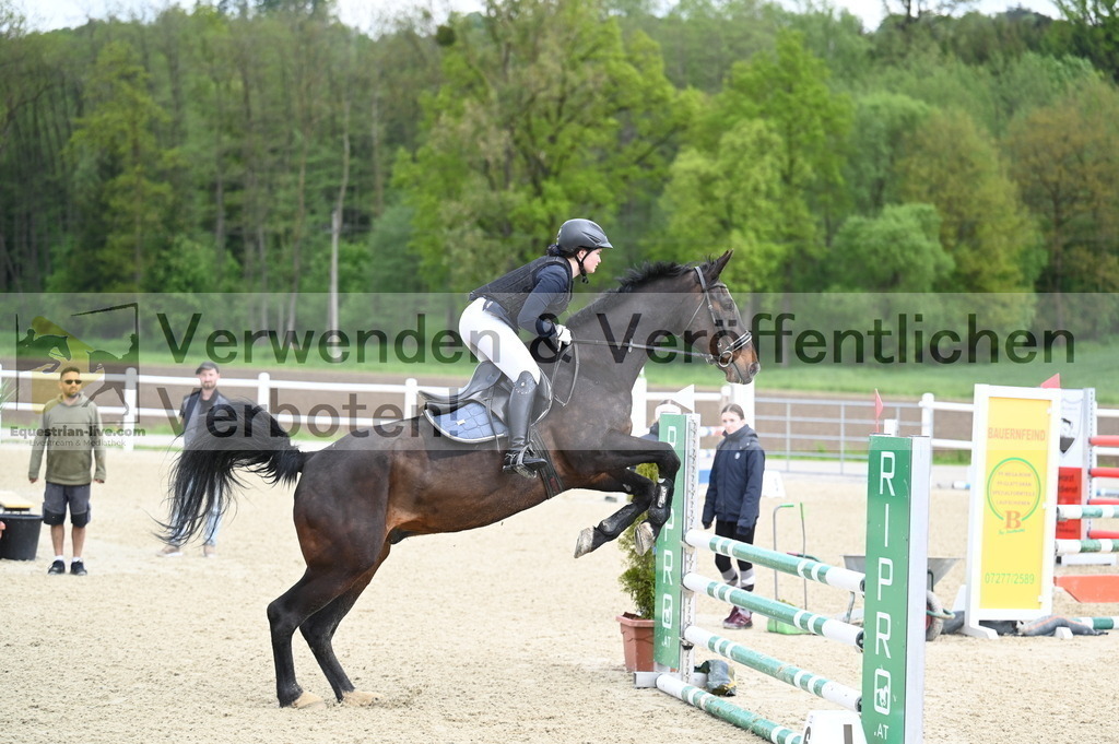 DSC_0635 | equestrian-live-com