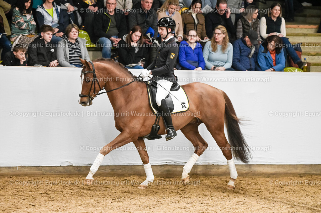20260307_Hengstvorstellung-Marbach_0221 | equistock
