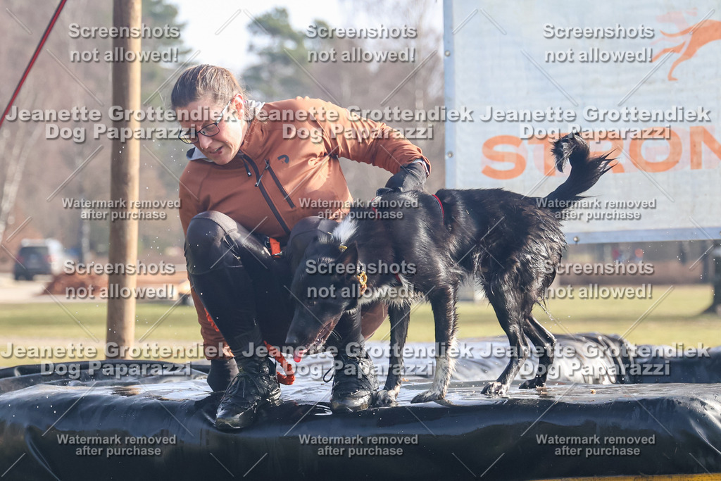 Dog Paparazzi - Strongdog North Mrz26-331 | Dog Paparazzi Jeanette Grottendiek Fotografie & Videografie - Realisiert mit Pictrs.com