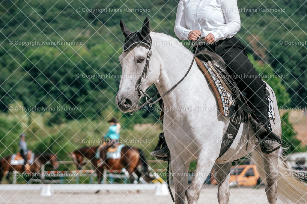 DSC04287 | ikphotography - Realisiert mit Pictrs.com