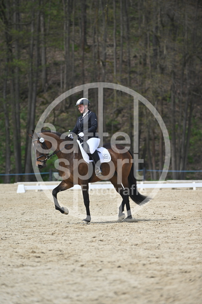 DSC_3256 | sattelsport - Realisiert mit Pictrs.com