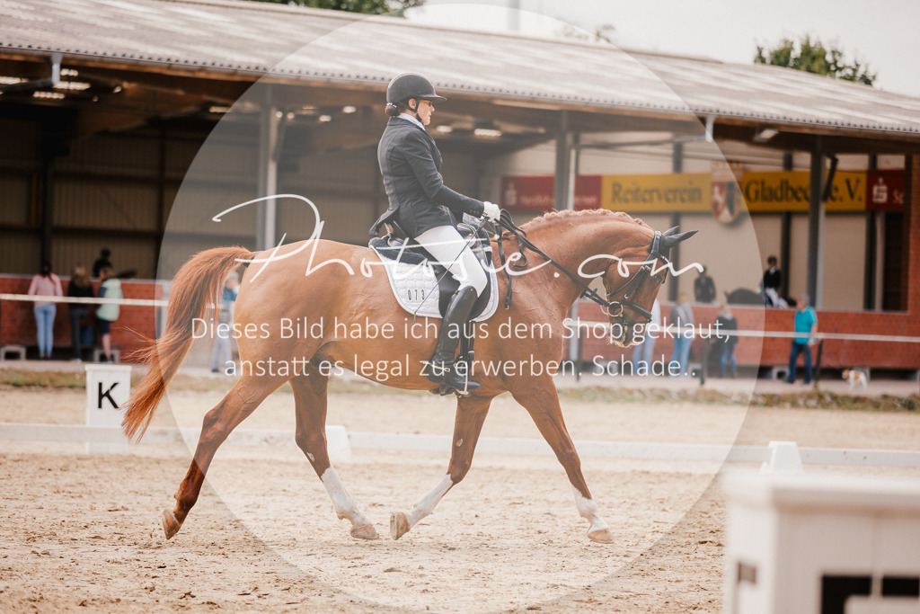 3I6A6006 | Stimmungsvolle Portraits und Reitsportfotografie im Ruhrgebiet und im Münsterland.

Pferdefotografie, Hundefotografie, Tierfotografie, Reportagen, Portraits von Tier und Mensch, Turnierfotografie in Bochum, Recklinghausen, Marl, Haltern am See, Dülmen.. - Realisiert mit Pictrs.com