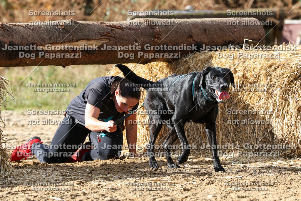 Dog Paparazzi - Strongdog 10-25-5068 | Dog Paparazzi Jeanette Grottendiek Fotografie & Videografie - Realisiert mit Pictrs.com